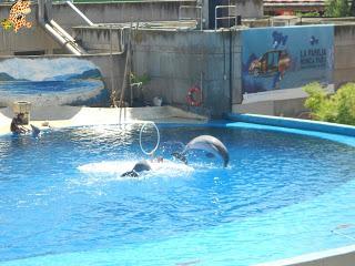 Madrid con niños (III): Zoo Aquarium de Madrid