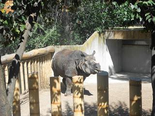 Madrid con niños (III): Zoo Aquarium de Madrid