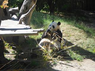 Madrid con niños (III): Zoo Aquarium de Madrid