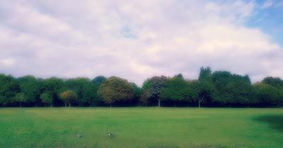 Cuento. De cómo Pascualito aprendió a leer