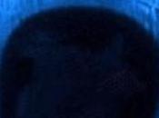 Biobulb, bacterias revolucionarán iluminación