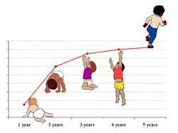 fiebre y crecimiento