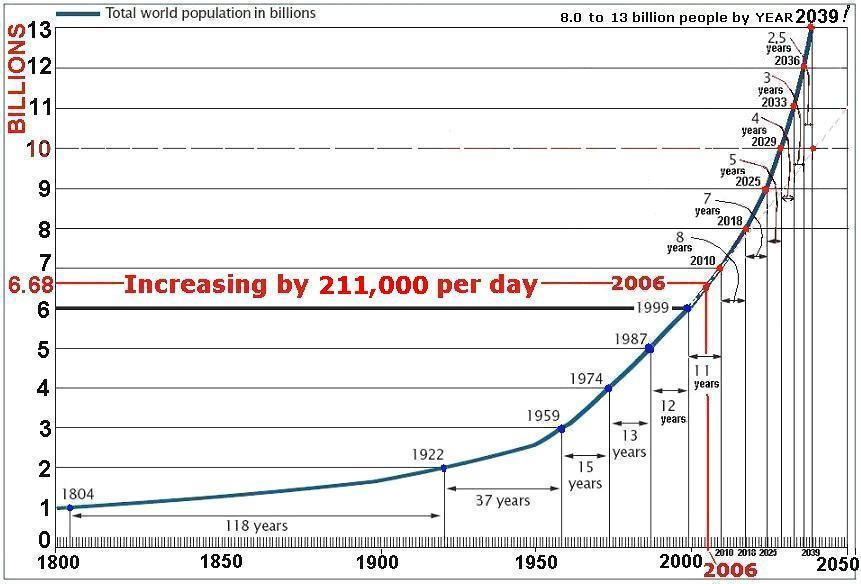 Cuaderno de Bitácora de la Crisis: El callejón donde no caben milagros