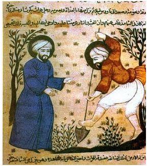 Ibn Razin al-Tuyibi | El gastrónomo