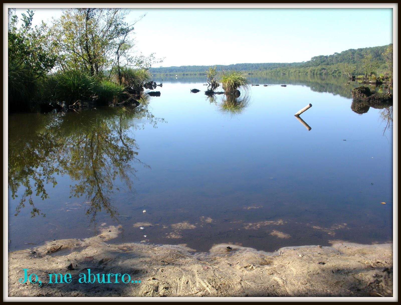 De vacaciones en las Landas