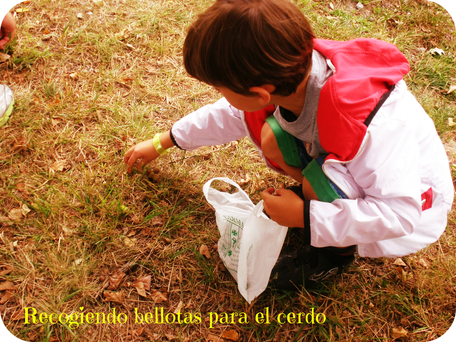 De vacaciones en las Landas