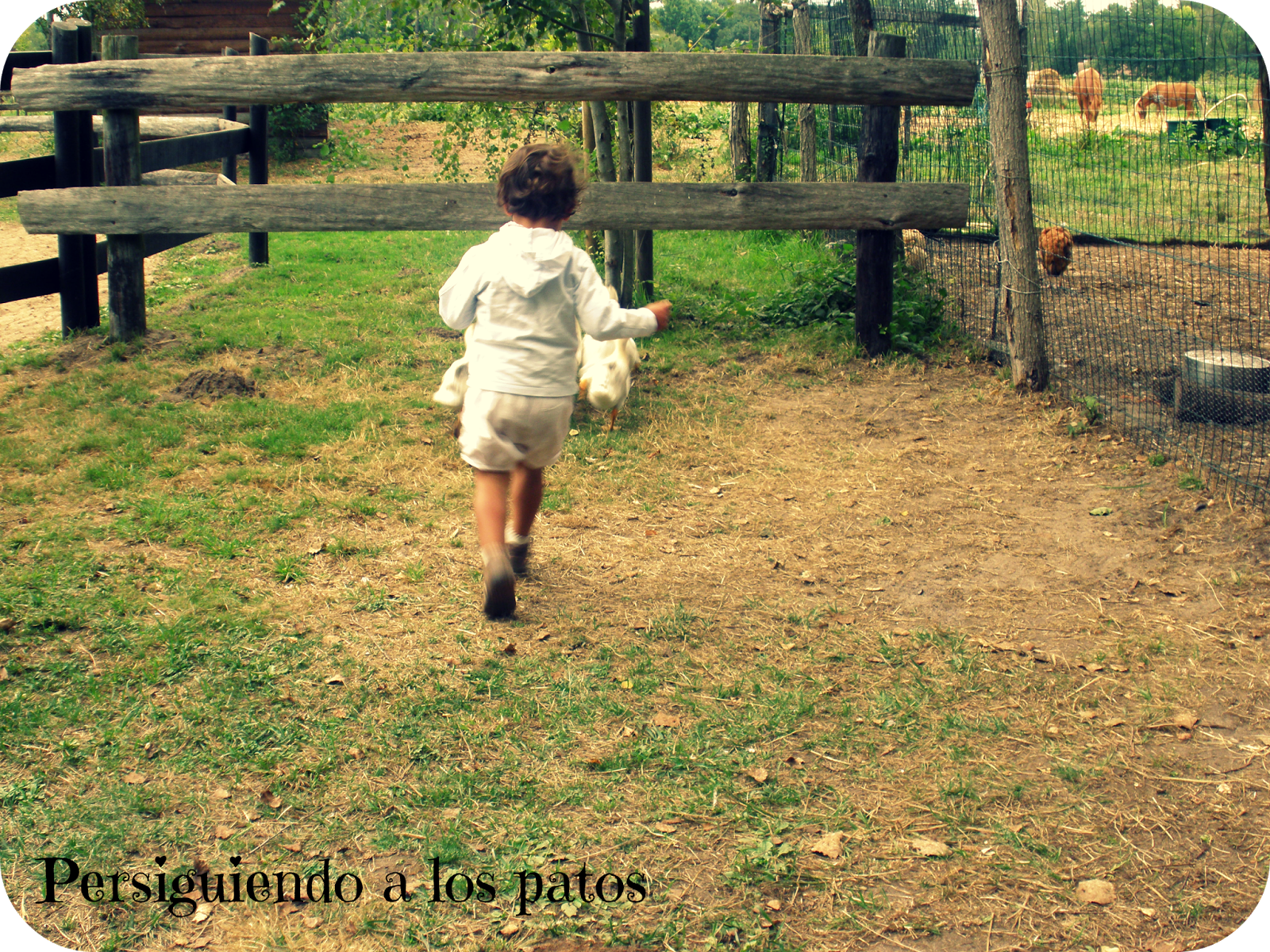 De vacaciones en las Landas