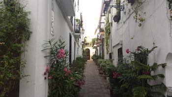 Un paseo por Marbella y Puerto Banús.