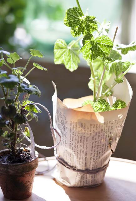 TRES INSPIRACIONES BAJO LA VENTANA