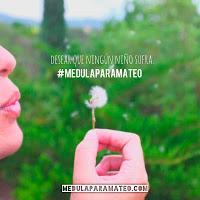 #medulaparamateo o el poder de la motivación