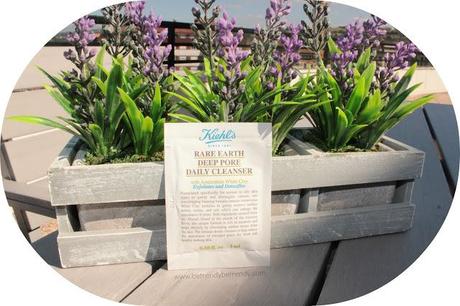 Kiehl's Rare Earth Deep Pore Daily Cleanser Kiehl's Rare Earth Deep Pore Daily Cleanser