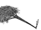 maternidad, bosque umbrío