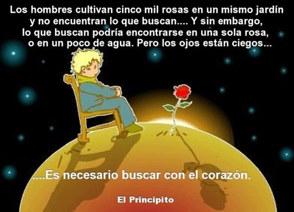 EL PRINCIPITO (Precioso libro que os recomiendo, y reflexión personal)