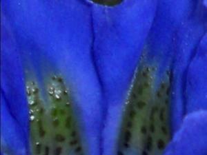 COLORES DE LA NATURALEZA 007 megustaelmedionatural