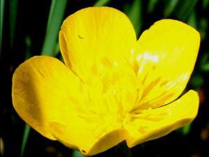 COLORES DE LA NATURALEZA 012 megustaelmedionatural