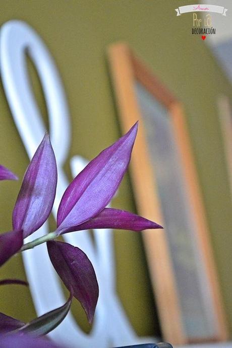 INSPIRACIÓN PARA AMBIENTE VINTAGE