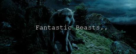 ¡Desde Hogwygood! ¡Desde Hogwygood!