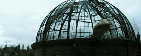 ¡Desde Hogwygood! ¡Desde Hogwygood!