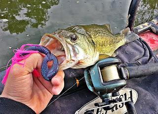 Chatterbait, polivalencia y efectividad.