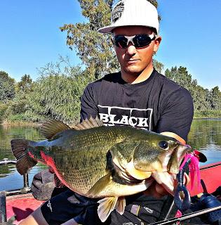 Chatterbait, polivalencia y efectividad.