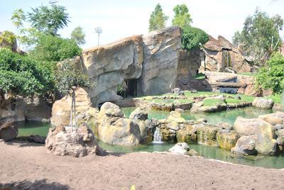 UN PASEO POR EL BIOPARC Y EL PARQUE DE CABECERA EN VALENCIA