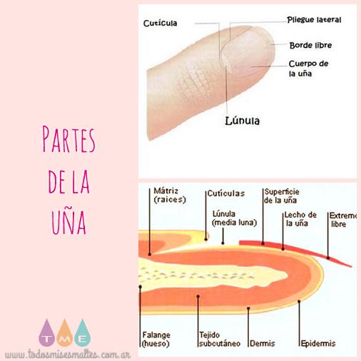 cuidados-cutículas-nailcare