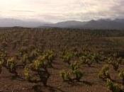 Empordà fuerza elementos