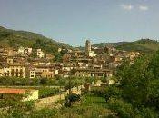 Cata “cariñenas porrera” 2012