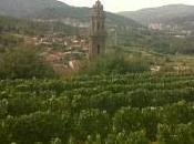 Ribeiros Avia, sumando esfuerzos