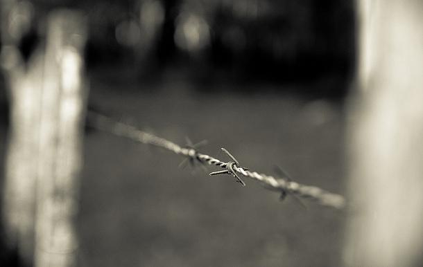 El delito de usurpación en Panama