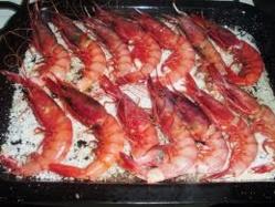 España: pelagambas y pagagambas