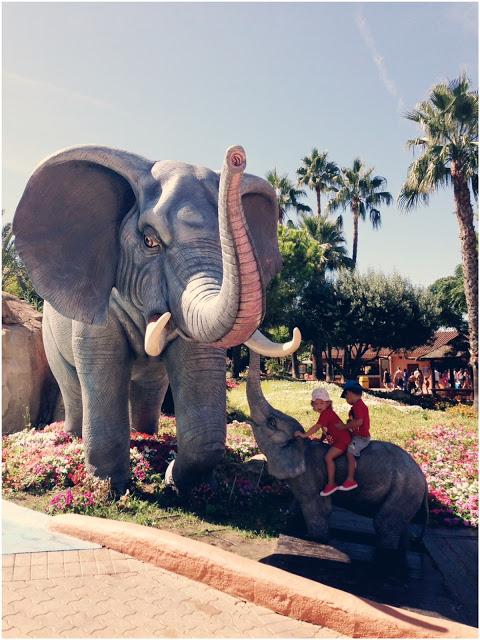 Aqualandia: Miércoles Mudo