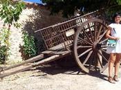 Vestido 'Les Confettis' Yiddish Chutzpah