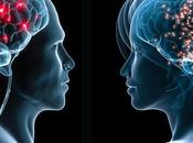 sexo cerebro