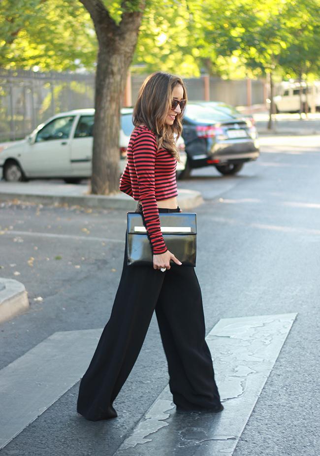 Palazzo Pants & Cropped Top