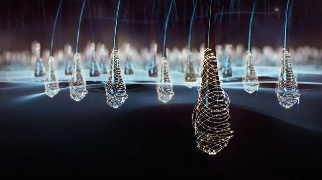 Inneov Densiology cabello