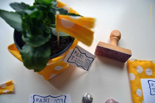 Mis novios del verano...