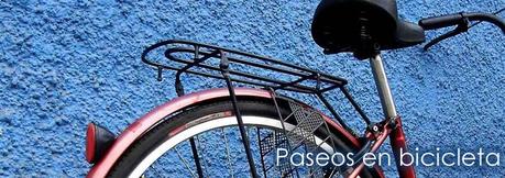 Actividades de primavera