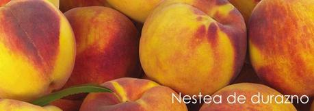 Actividades de primavera