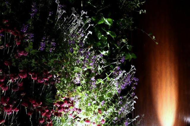 Un precioso regalo…