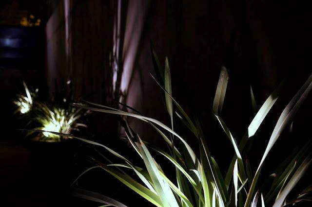 Un precioso regalo…