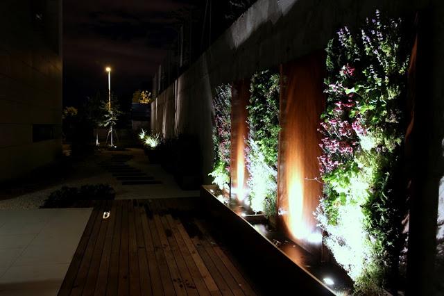 Un precioso regalo…