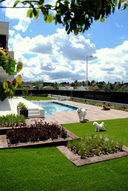 Un precioso regalo…