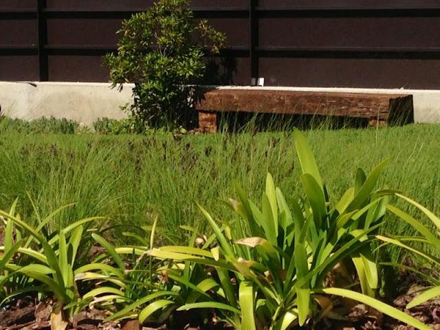 Un precioso regalo…