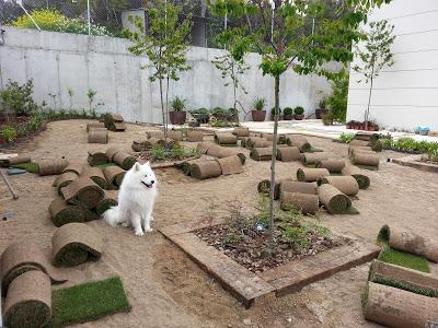 Un precioso regalo…