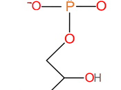 Ciclo Kalvin-Benson. Regeneración síntesis