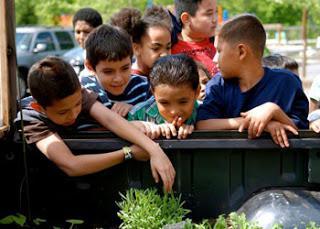 Un huerto en una camioneta