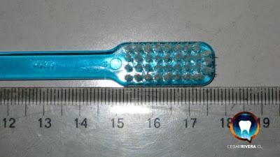 ODONTOPOST #1 CEPILLOS