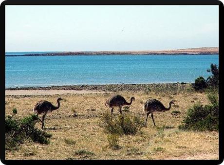 cabo dos bahias cabo dos bahias