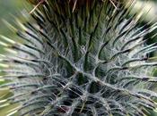 Look250-19.9.20138:15el estampado tartán calle:''mi...